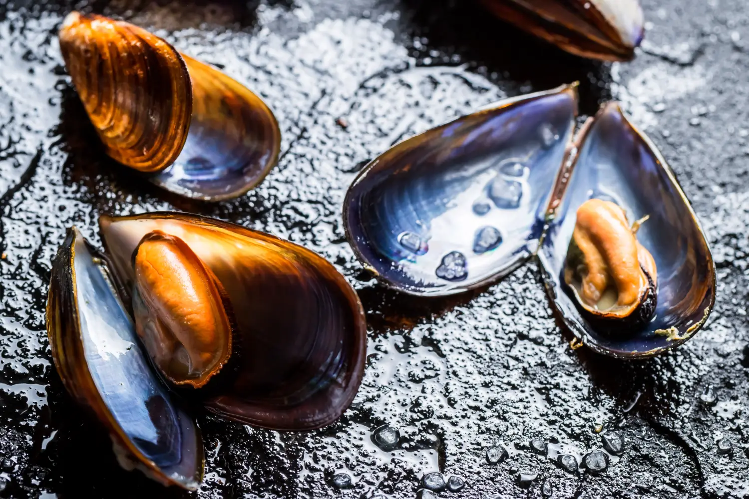 Mejillones frescos sobre una superficie oscura y húmeda, mostrando sus conchas abiertas y su carne jugosa, ideales para recetas de mariscos.