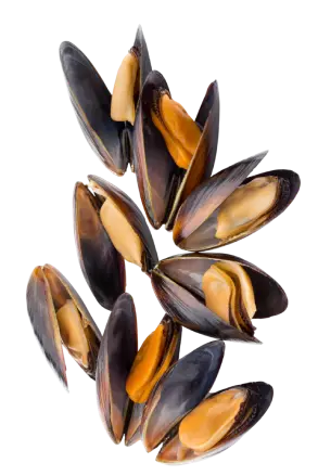 02 (1)